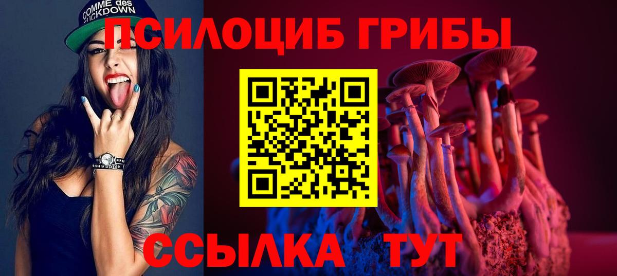 где найти   Галлюциногенные грибы Magic Shrooms  Вход с VPN  Реутов 