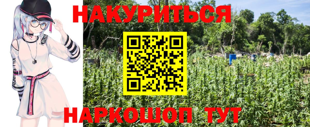 Конопля сатива  МАРИХУАНА тримм  Вход с VPN  МАРИХУАНА LSD WEED  Реутов  Шишки марихуана тримм 